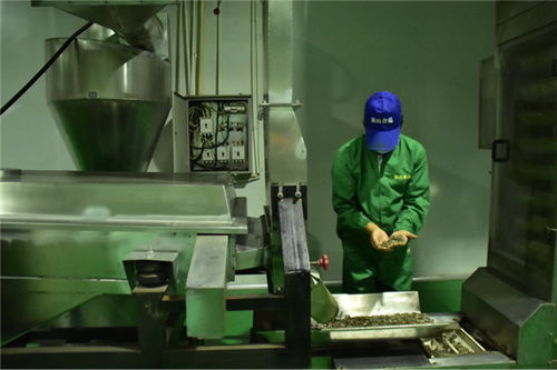 石油工人心向黨 服務人民辦實事——新材料技術研發(fā)助力能源產(chǎn)業(yè)高質量發(fā)展